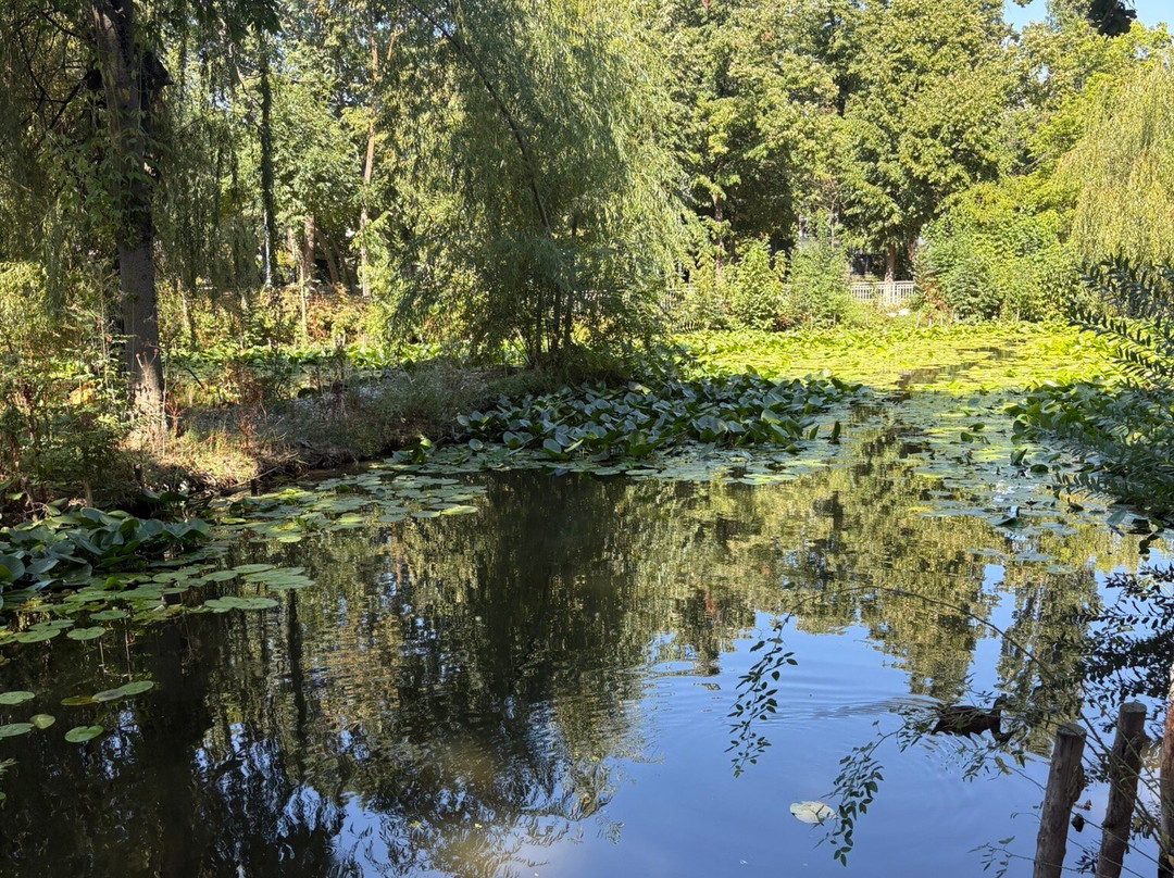 Parcul Nicolae Romanescu-克拉约瓦必去景点