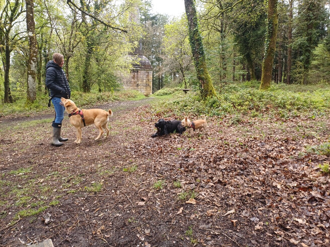 Mamhead-道利什必去景点