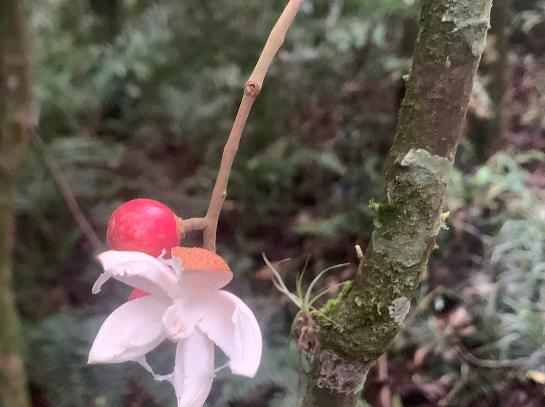 Parque Ecologico Imigrantes-圣贝尔纳多-杜坎普必去景点