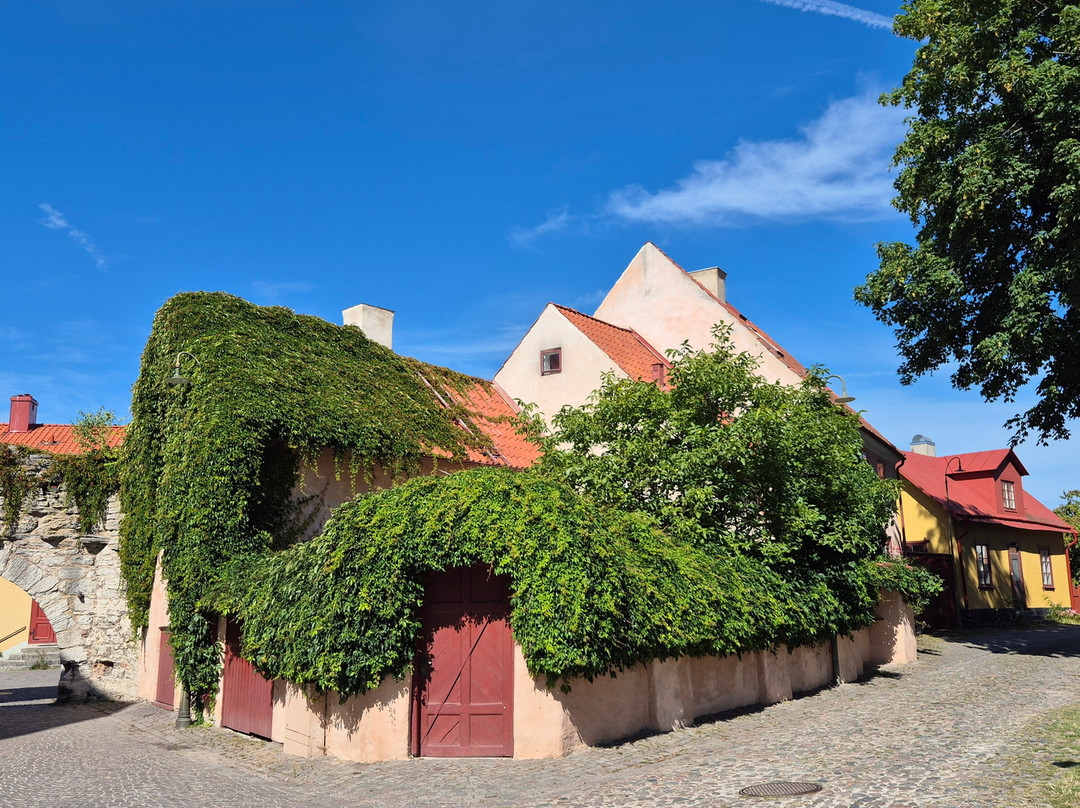 Free Tours Visby-维斯比必去景点