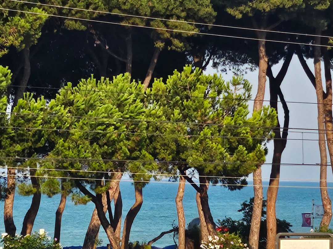 Hotel La Pineta主图