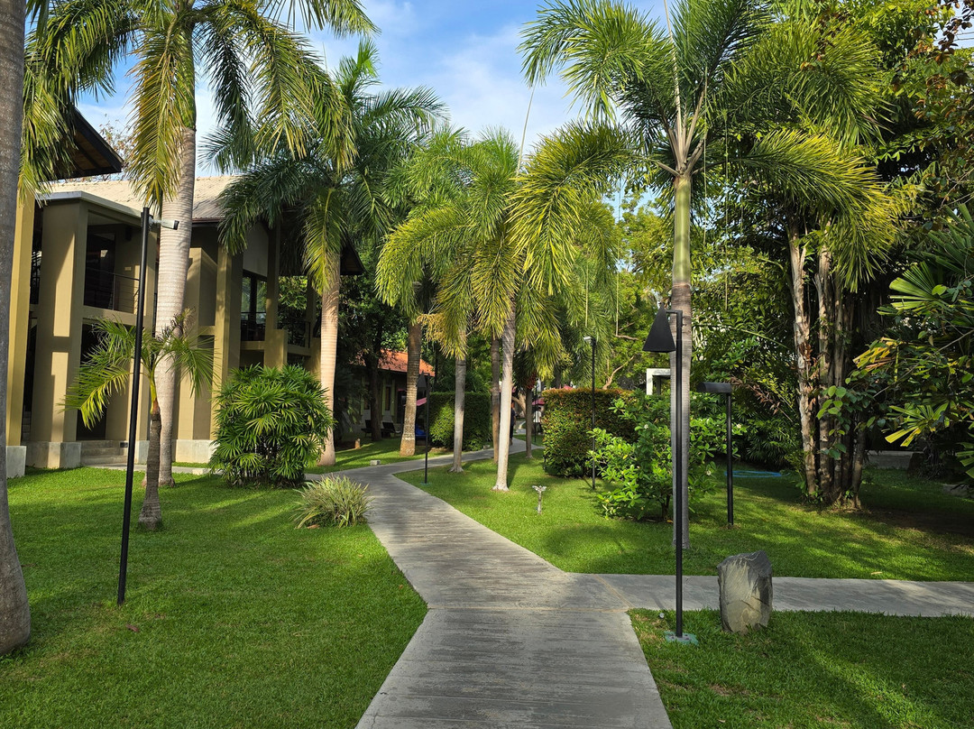 钱德里卡酒店主图