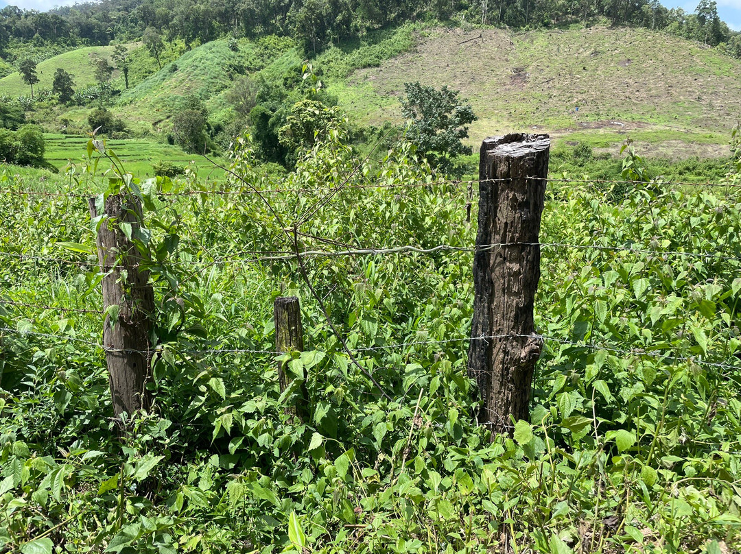 Trekking Collective Co - Private Day Tours-清迈必去景点