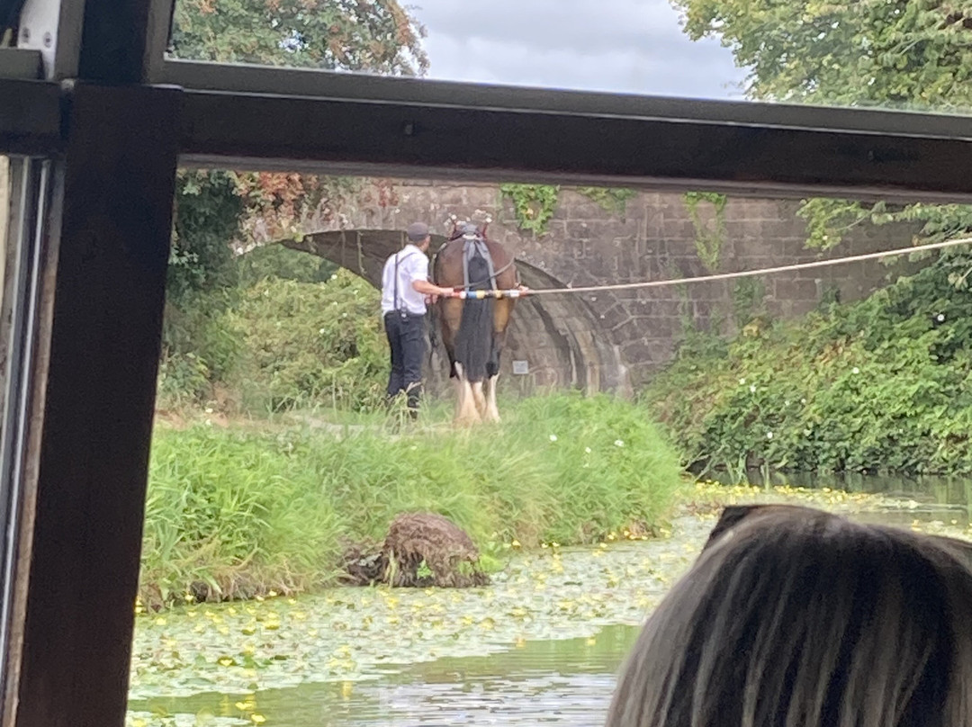 Tiverton Canal Co-蒂弗顿必去景点