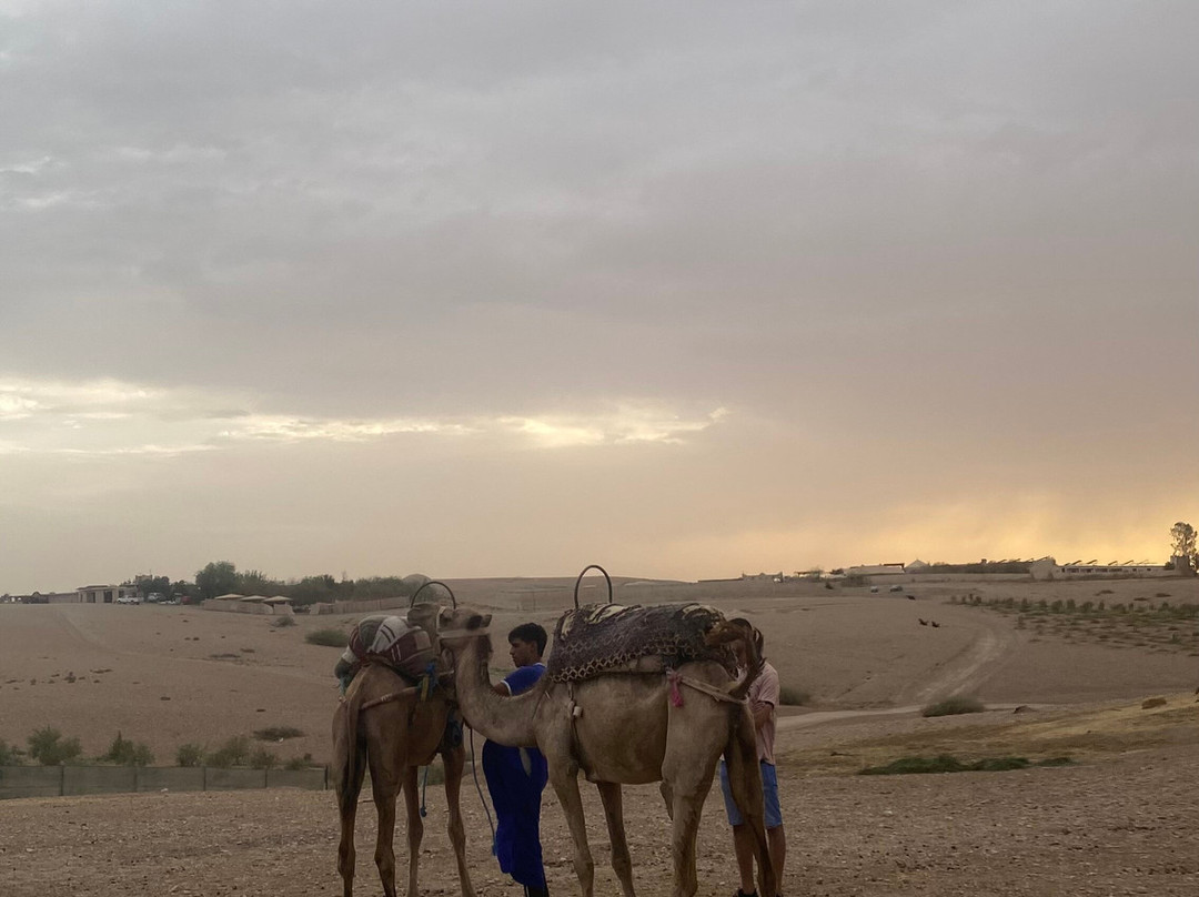 Raid Quad Maroc-马拉喀什必去景点