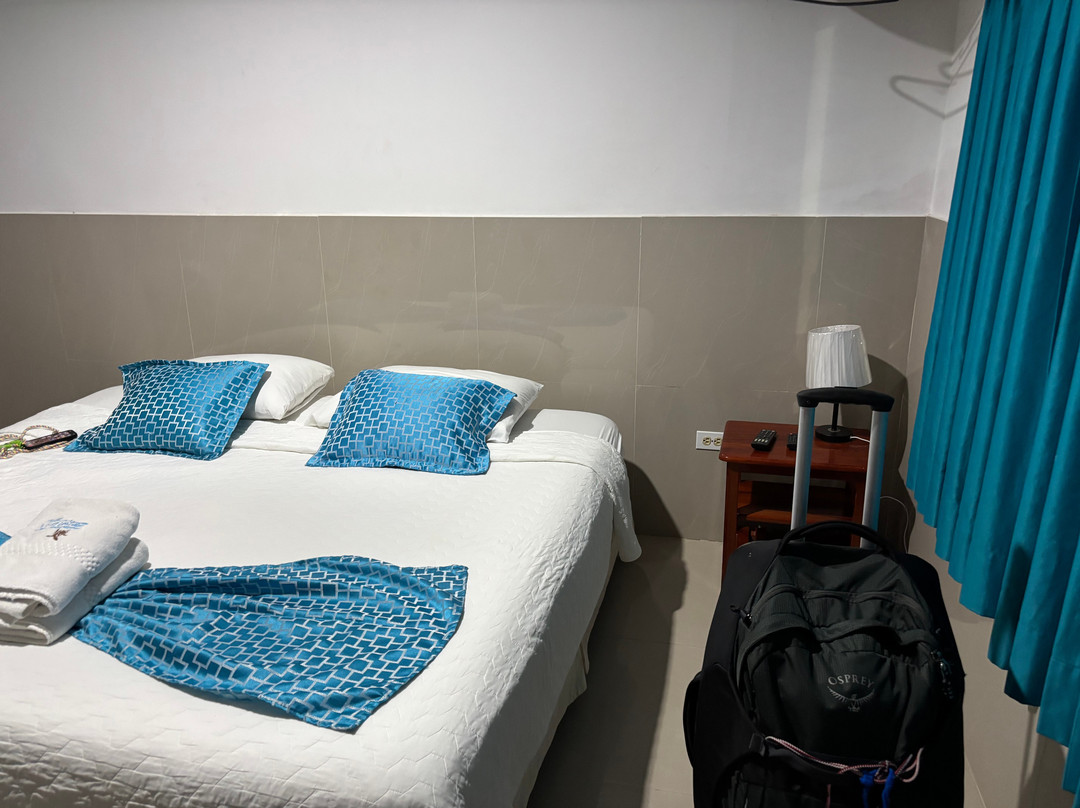 La Gran Tortuga主图