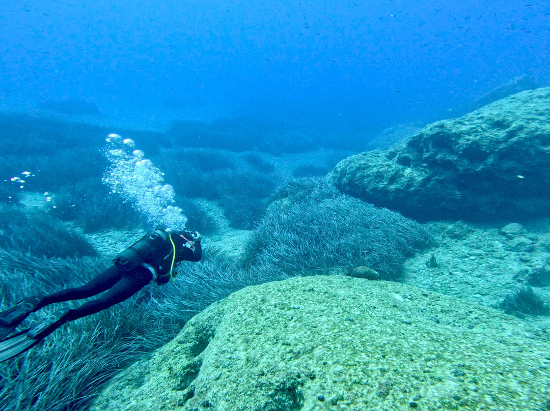 Diving Center Turtle Beach-扎金索斯必去景点