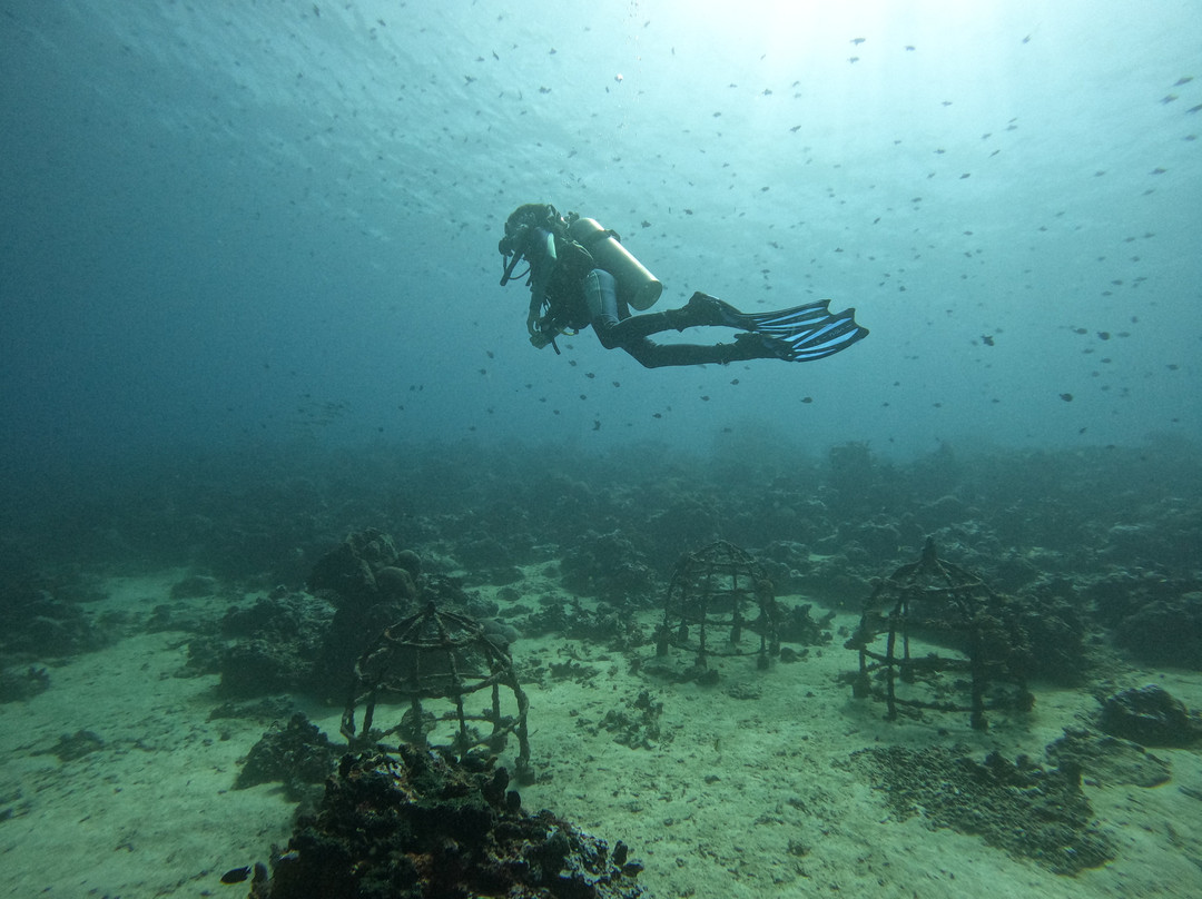 Gaia One Boutique Diving-比拉必去景点