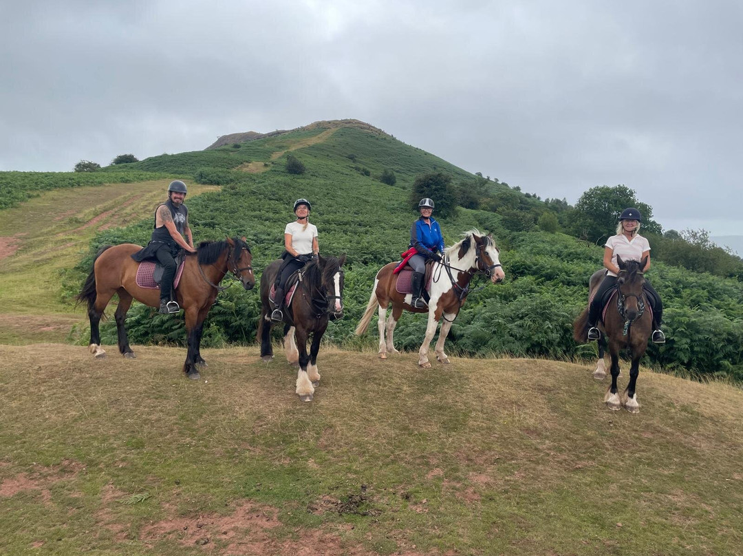 Ellesmere Riding Centre-布雷肯必去景点