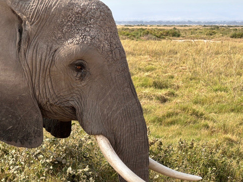 Great Horizon Trails-内罗毕必去景点