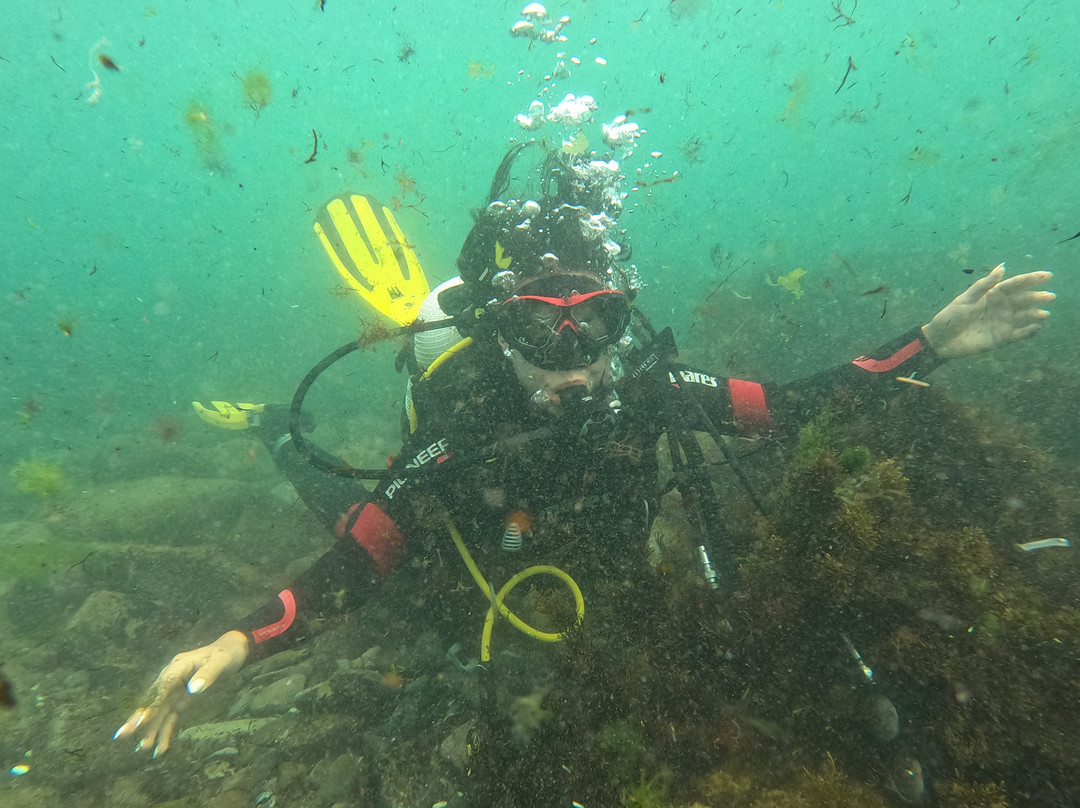 Sub Diving-索佐波尔必去景点