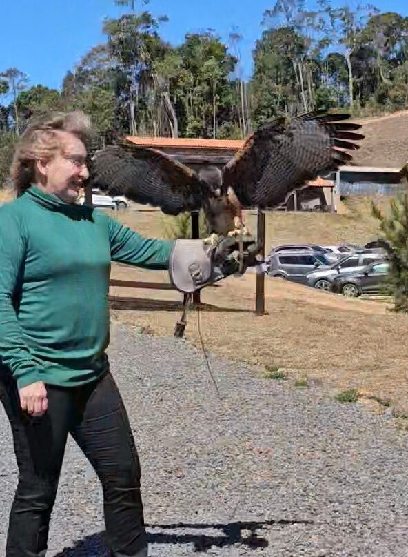 Escola de Falcoaria-蒙特贝尔德必去景点