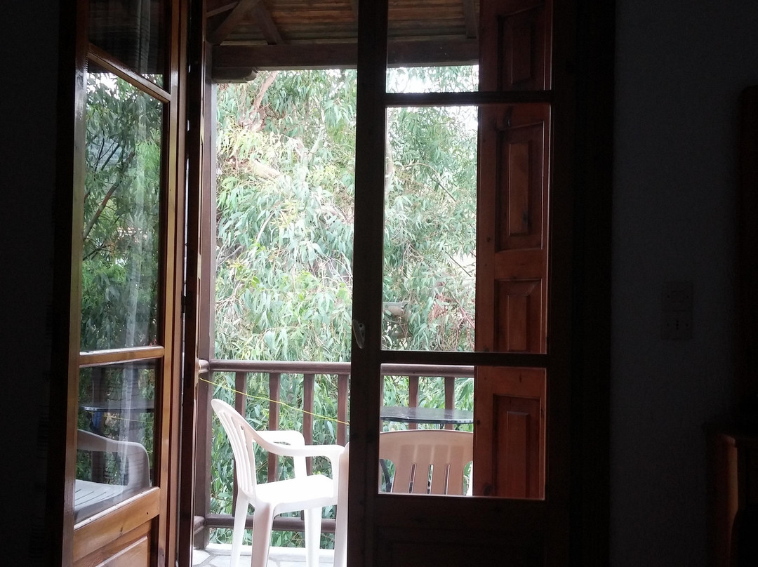 Pansion Prodromina主图