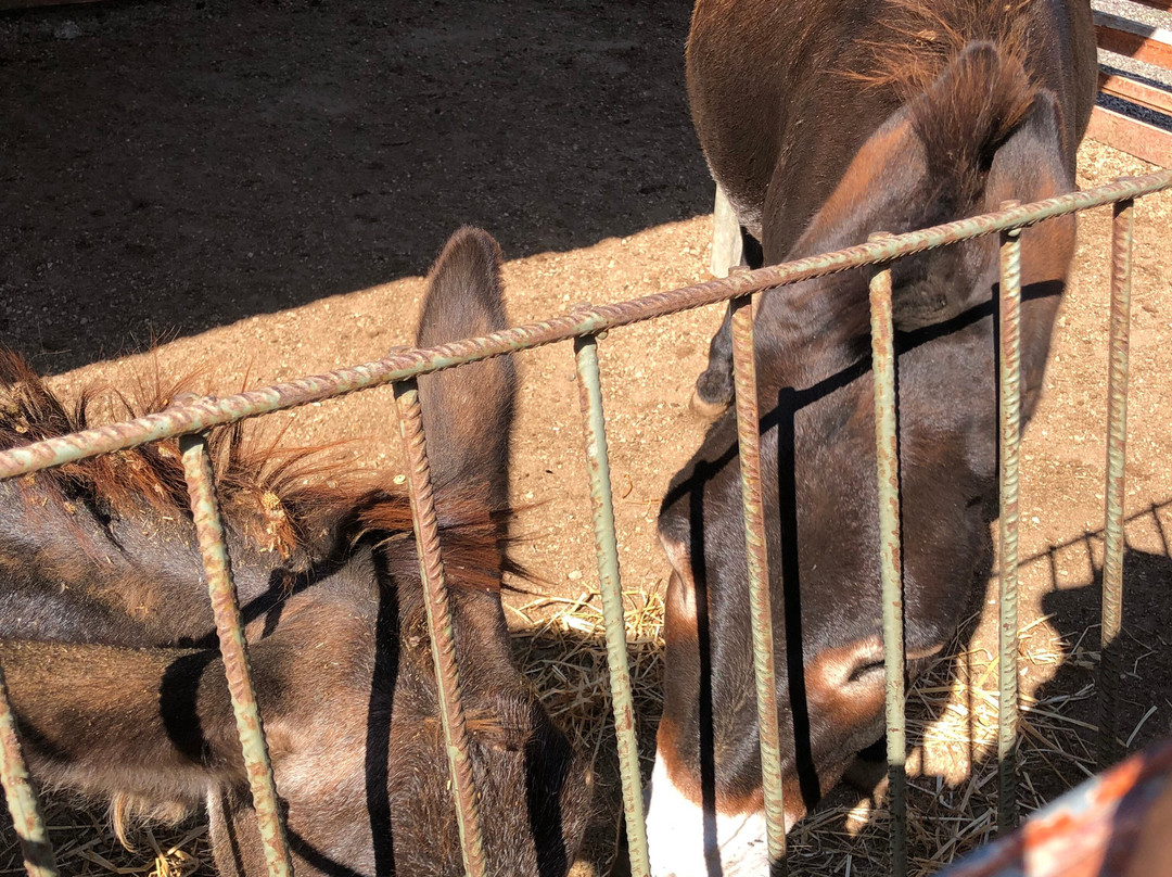 Therianos Family Farm-Kallithea必去景点