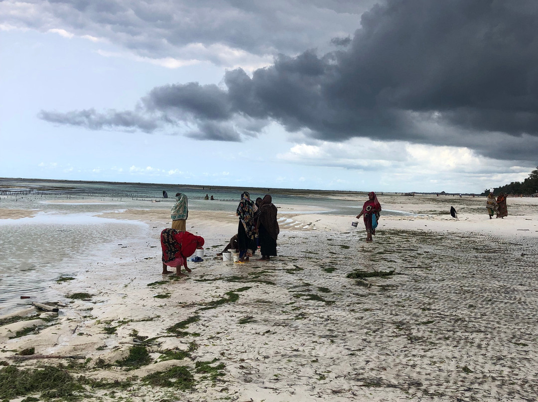 Pwani Mchangani Beach-Pwani Mchangani必去景点