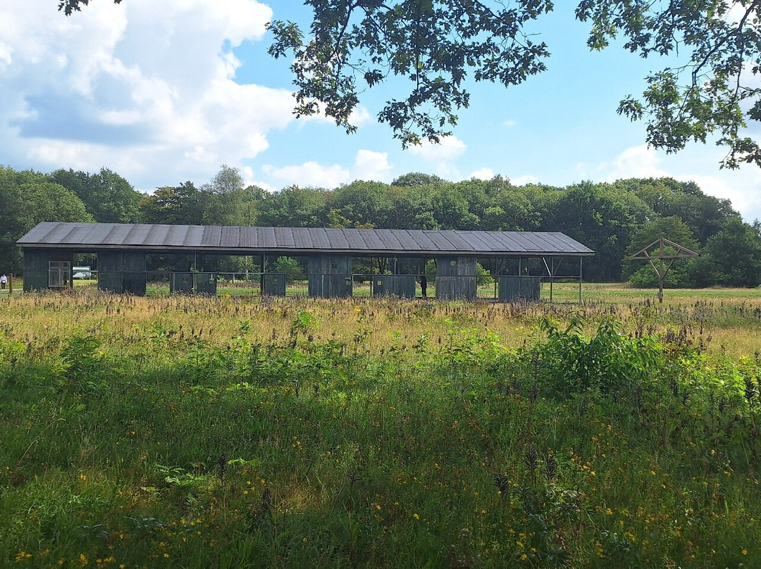 Kamp Westerbork-Hooghalen必去景点