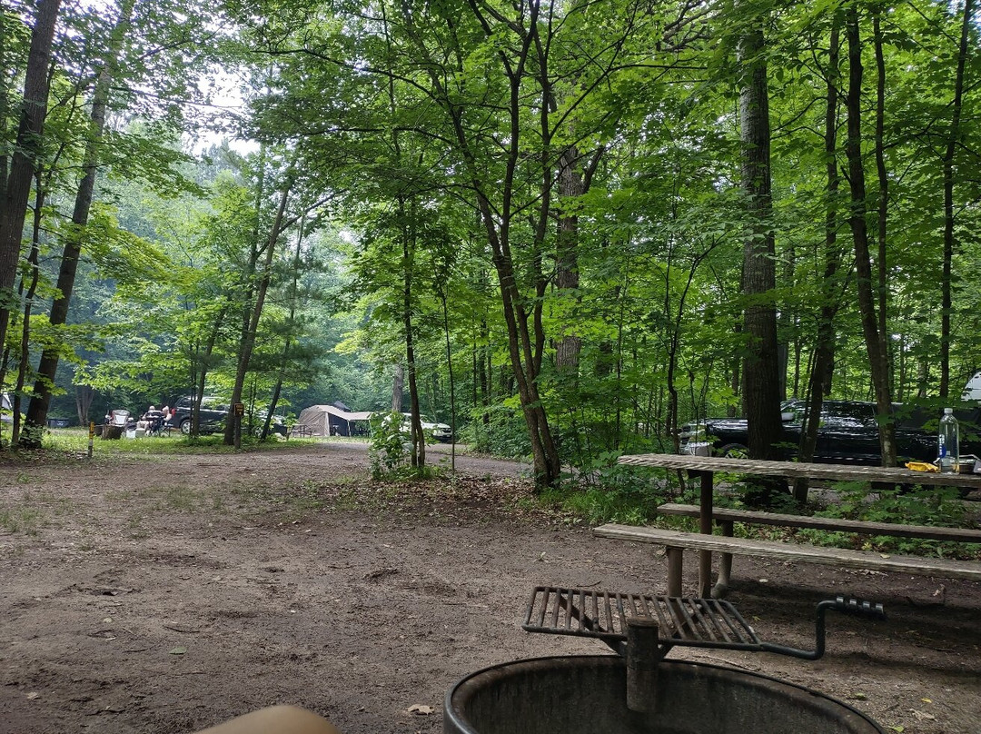 Charles A. Lindbergh State Park-Little Falls必去景点