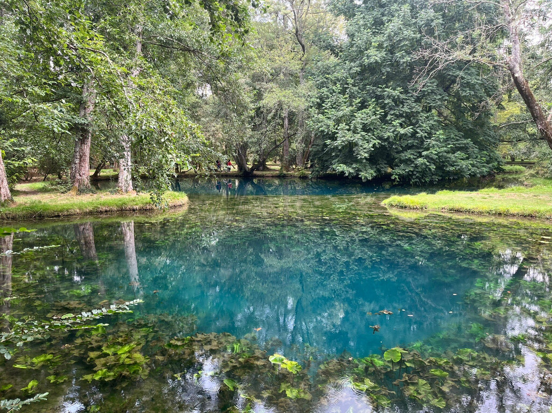 Chateau de Beaulon-Saint-Dizant-du-Gua必去景点