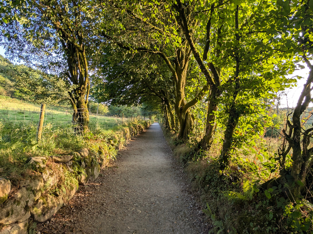 Four Waterfalls Walk-Ystradfellte必去景点