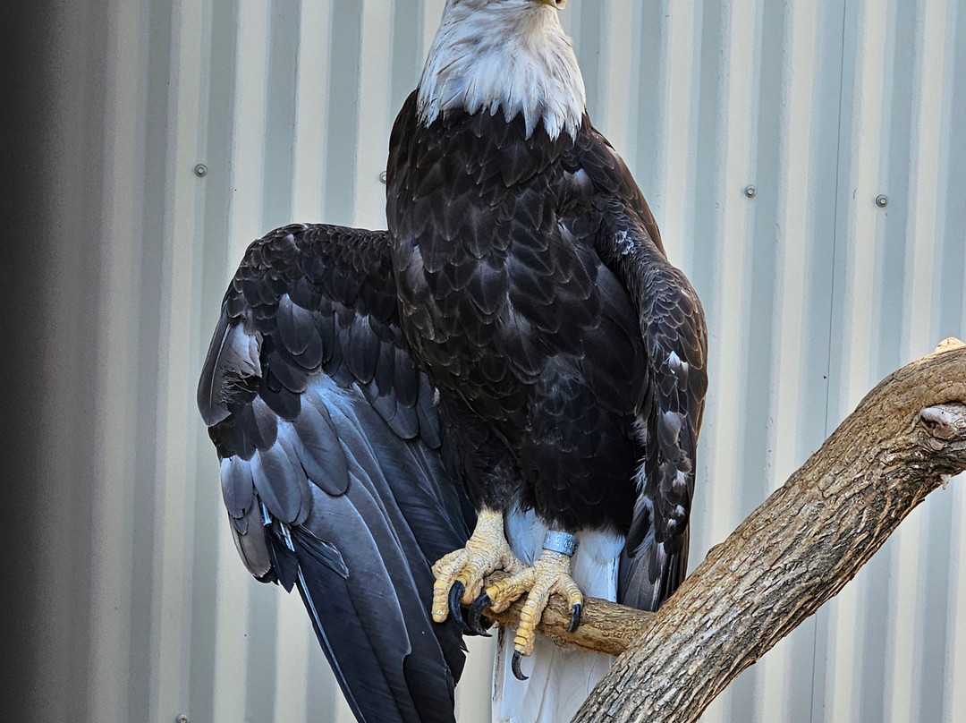 Outdoor Discovery Center-荷兰村必去景点
