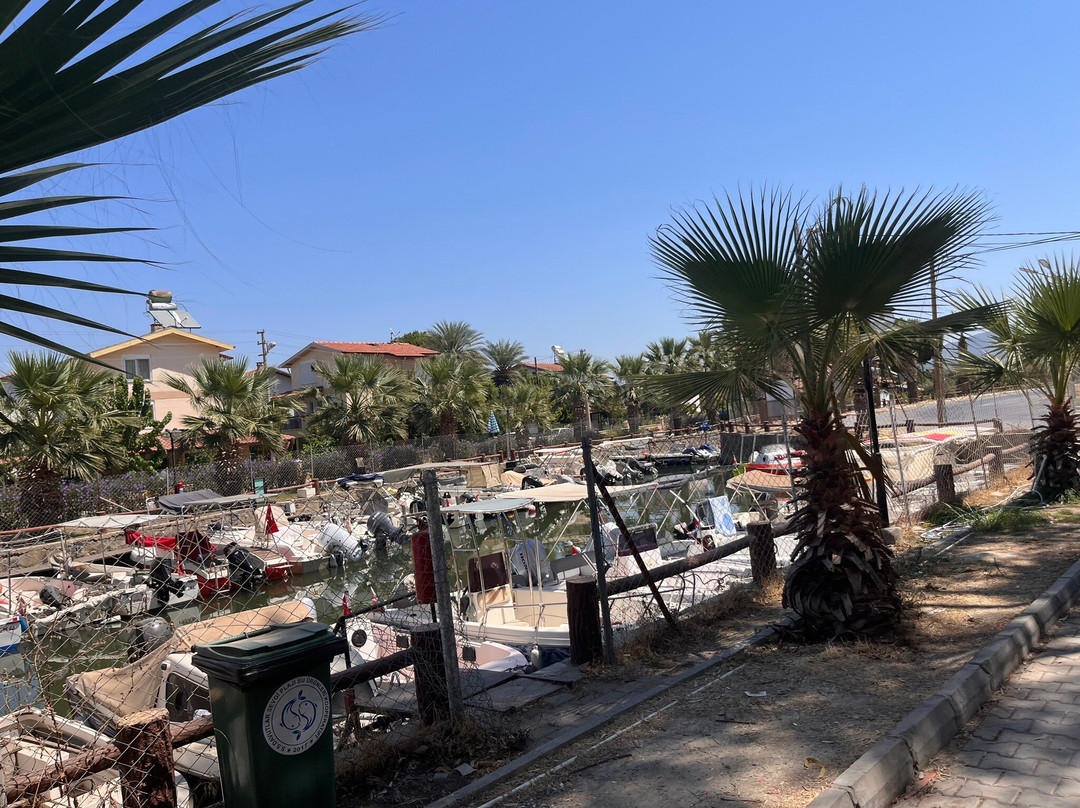 Sevgi Plajı-Davutlar必去景点