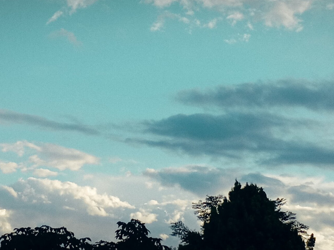 Casale il Cerqueto主图