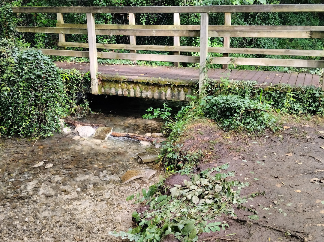 Riserva Naturale Regionale Sorgenti del Fiume Vera-Tempera必去景点