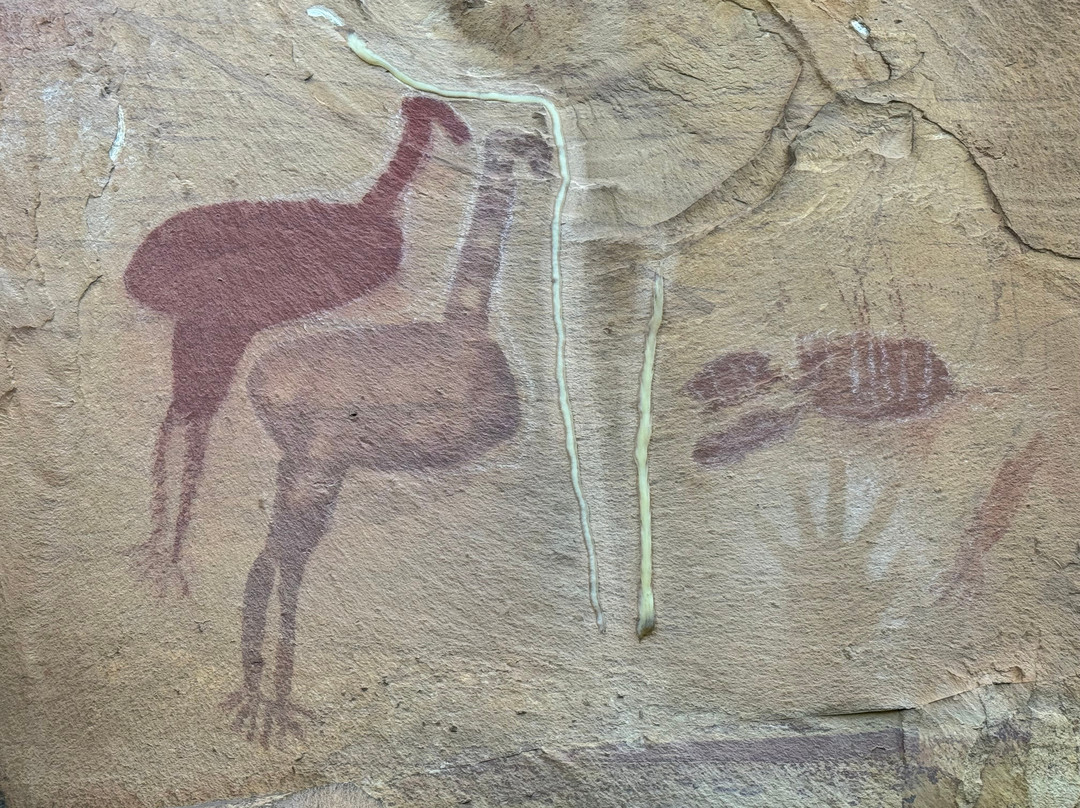 Gecko Canoeing & Trekking-凯瑟琳必去景点