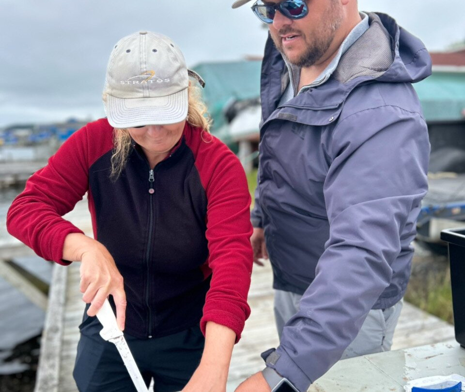 Old Salty Dog Excursions-Bay Roberts必去景点