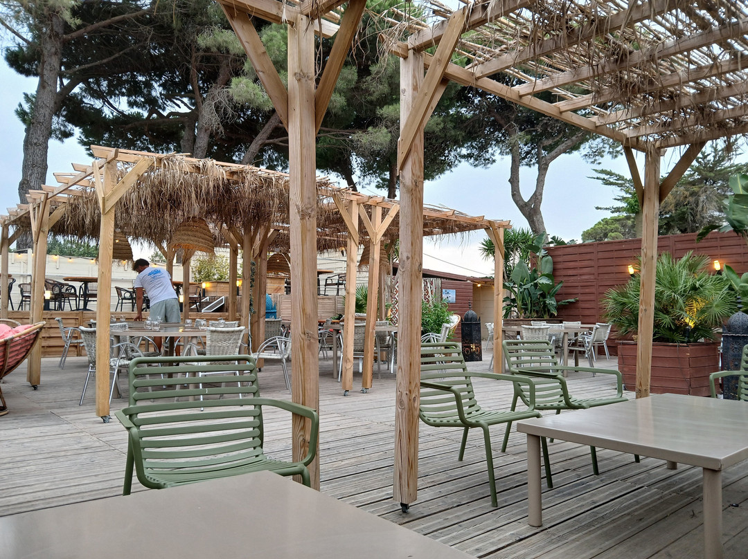 Bcbg Pool Bar Restaurant - La Piscine Summer Club