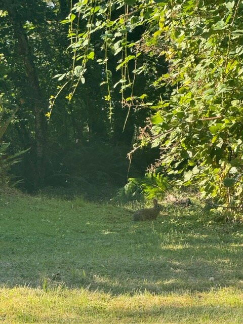 The Fraser River's Edge B&B Lodge主图