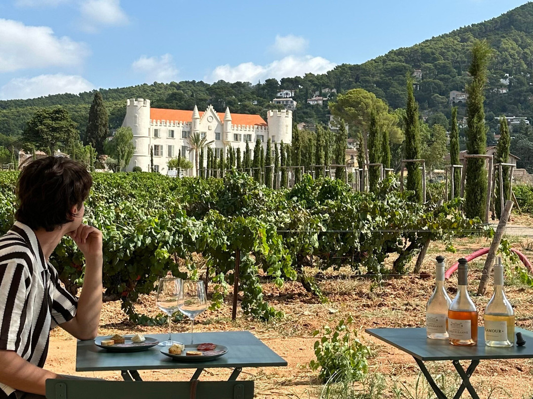 Dégustation Vignes Et Patrimoine-Carqueiranne必去景点