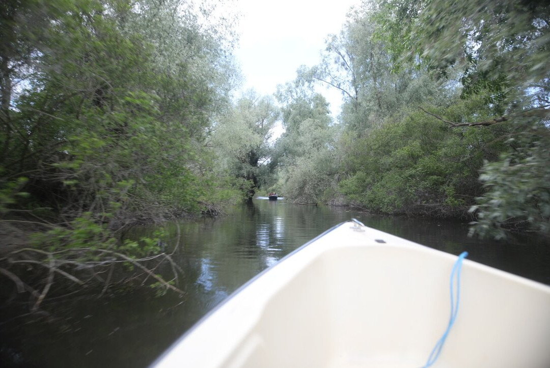 Caraorman Forest-Crisan必去景点