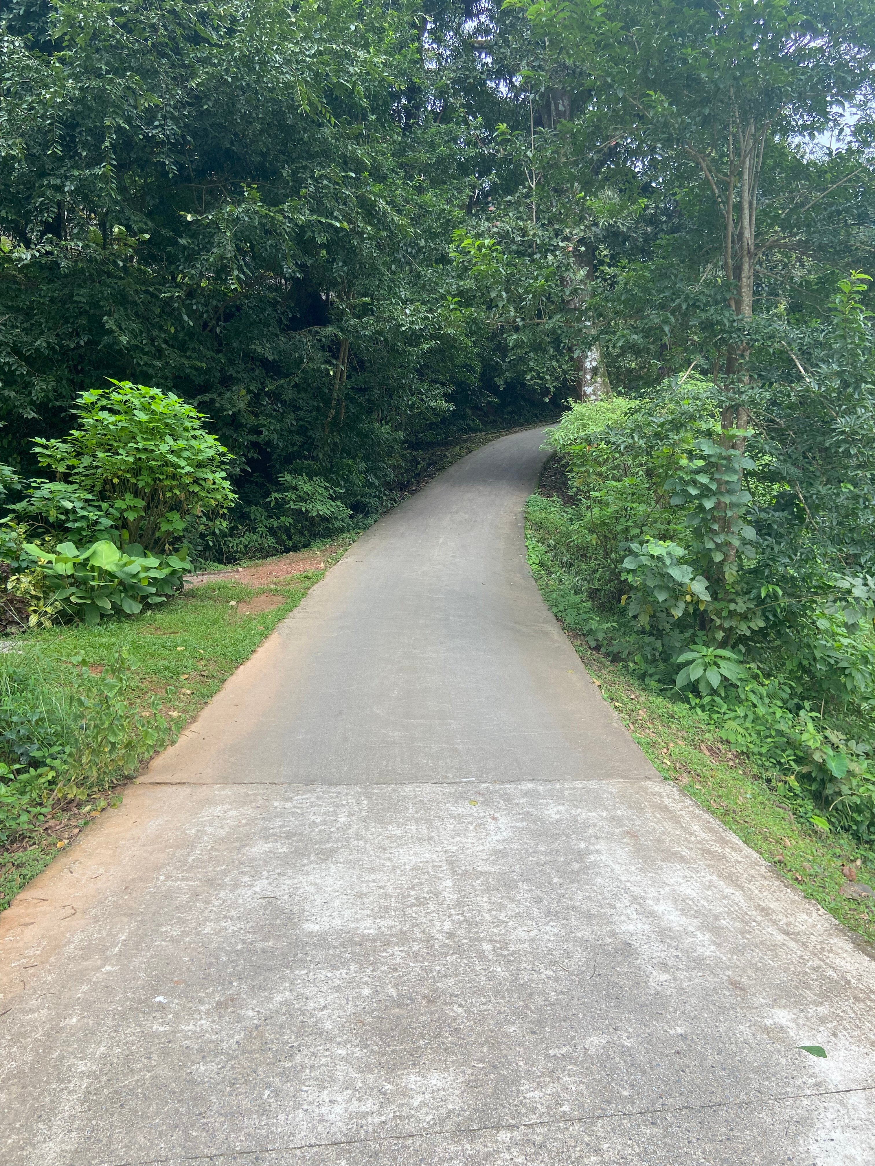 Coorg Wilderness Resort & Spa-浴室
