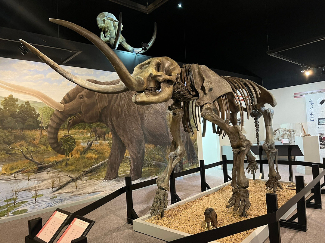 Museum of the Middle Appalachians-Saltville必去景点