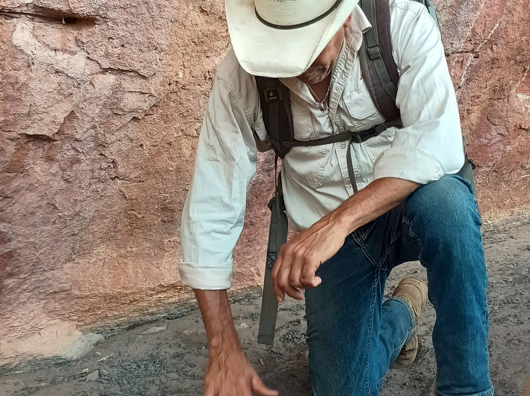 Jarramali Rock Art Tours-凯恩斯必去景点