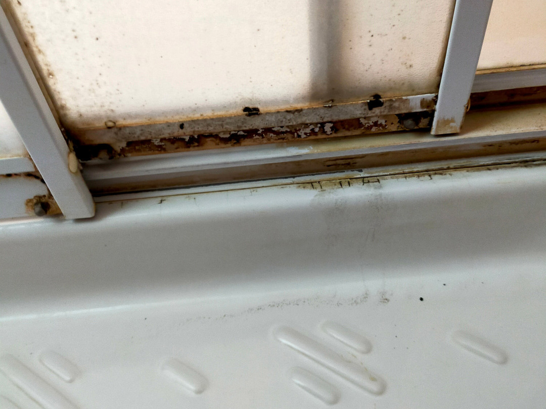 Agriturismo Le Biricoccole主图