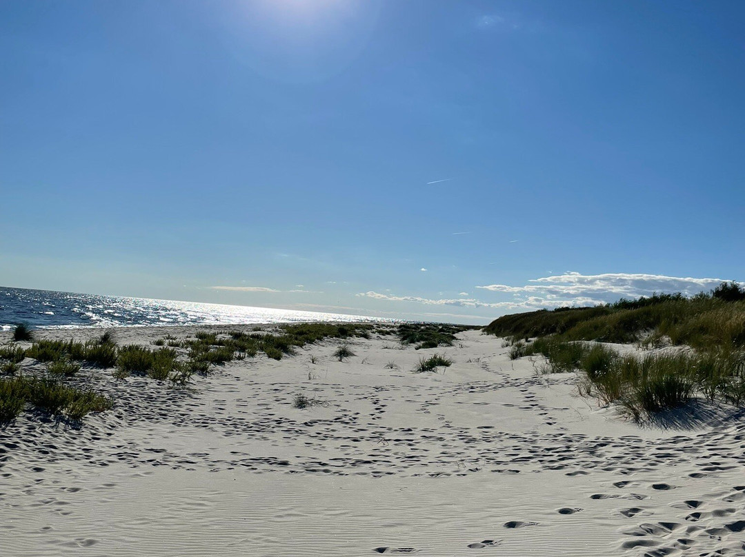 Sandhammarens Strand-Loderup必去景点