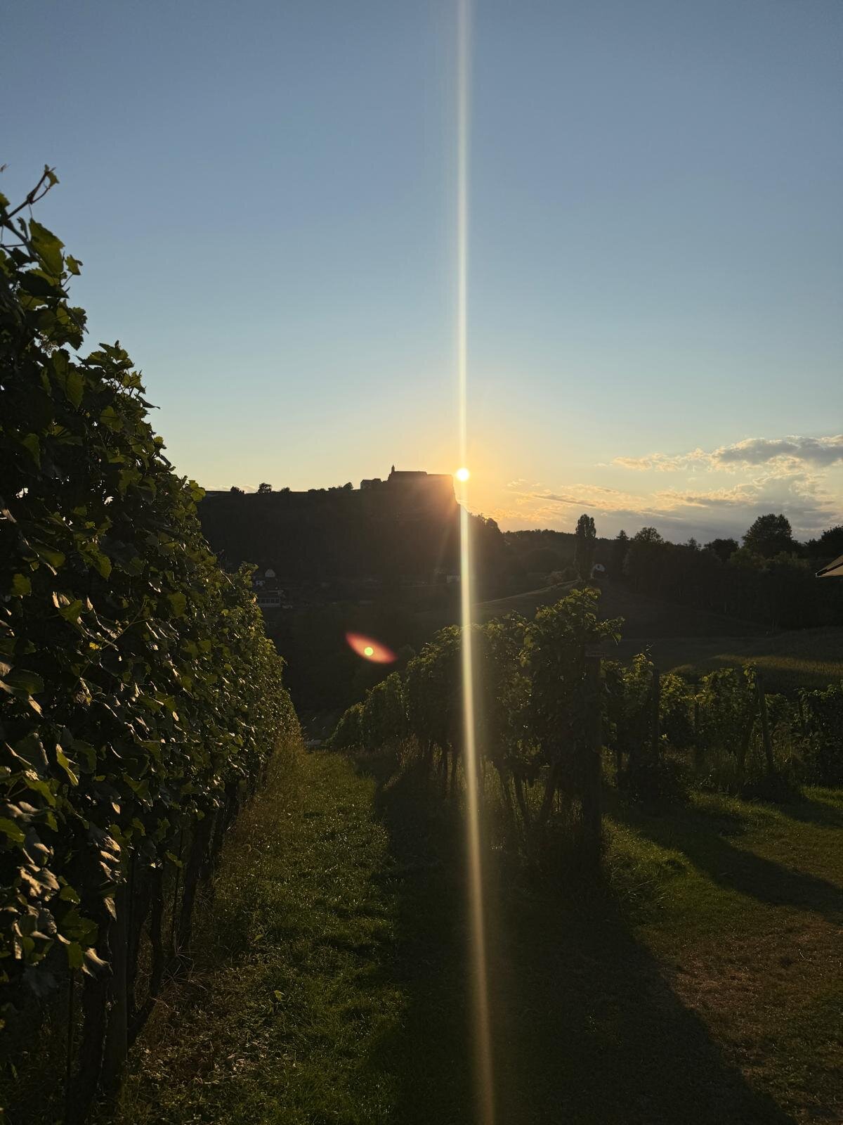 Genusshotel Riegersburg-官方