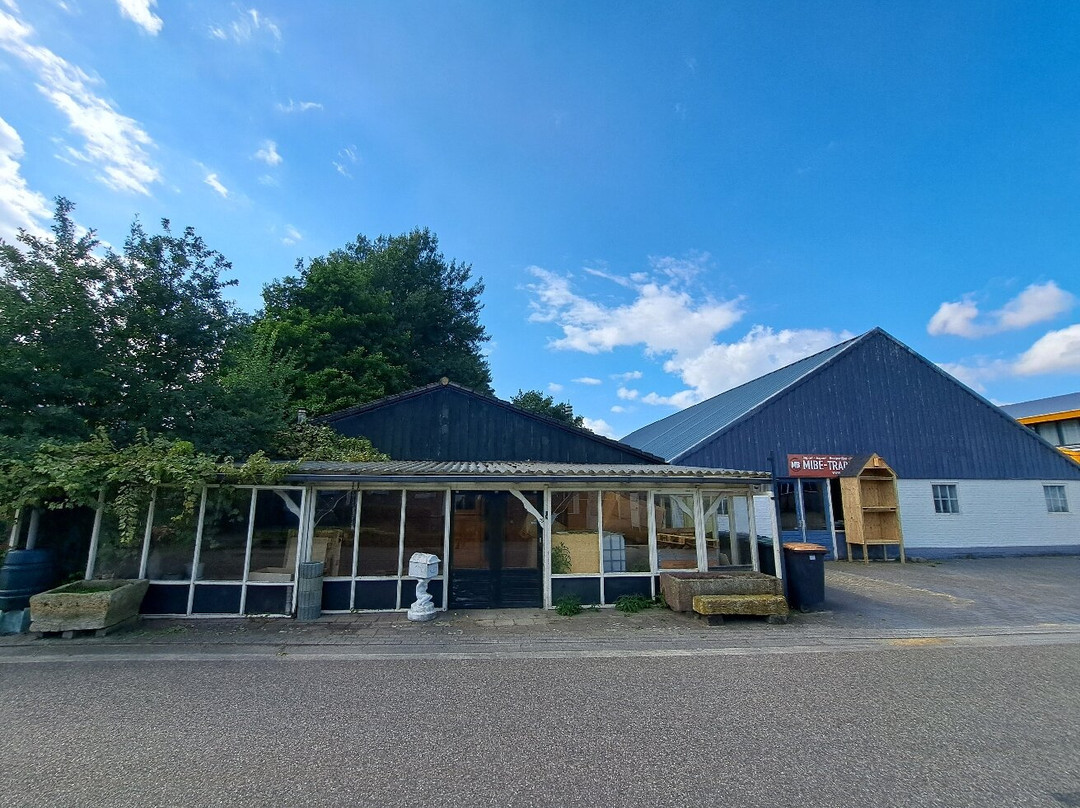 Heartofart Gallery-Ootmarsum必去景点