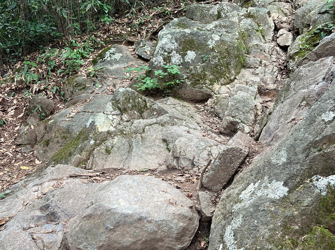Mount Tsukuba-筑波市必去景点