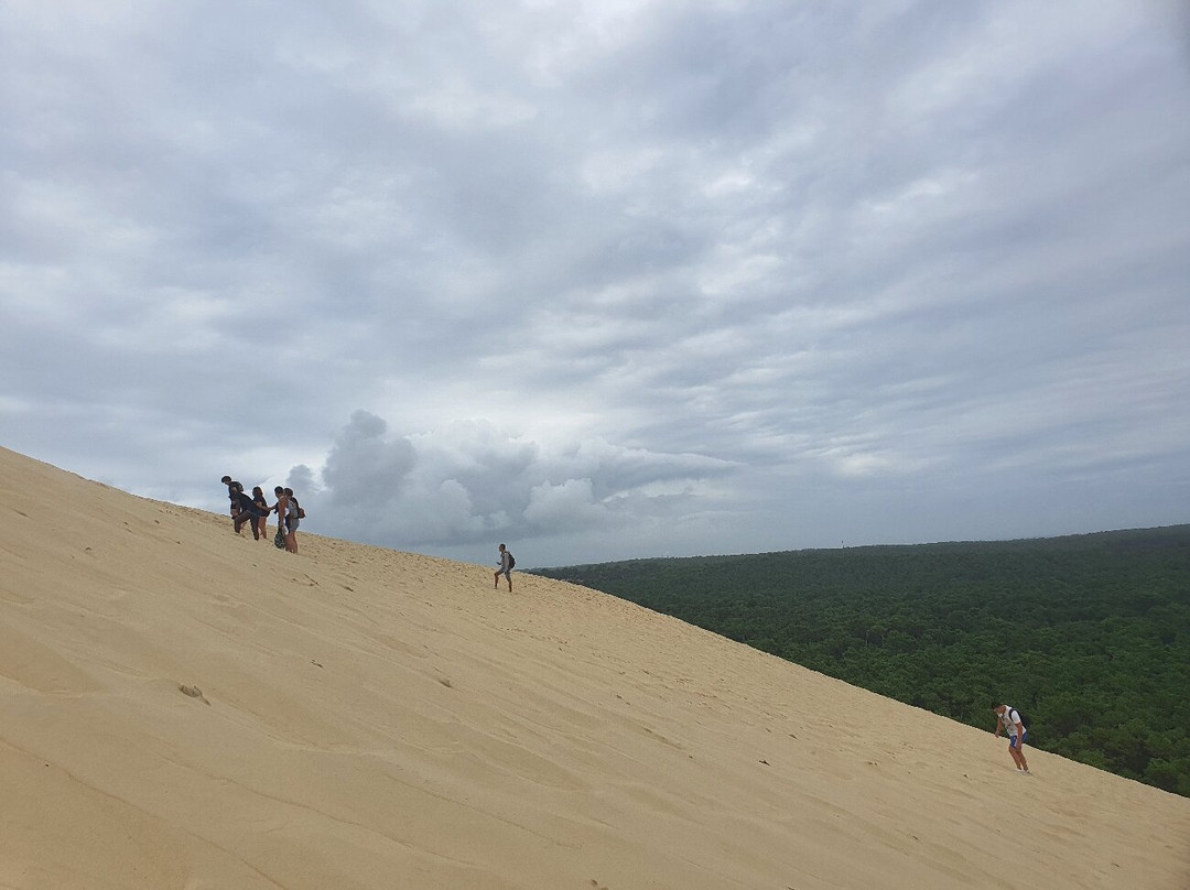 Great Dune of Pilat-拉泰斯特德比克必去景点