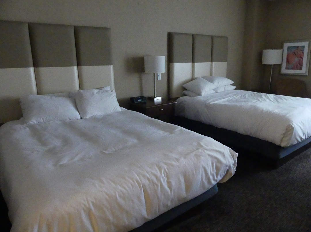 圣约翰希尔顿酒店主图