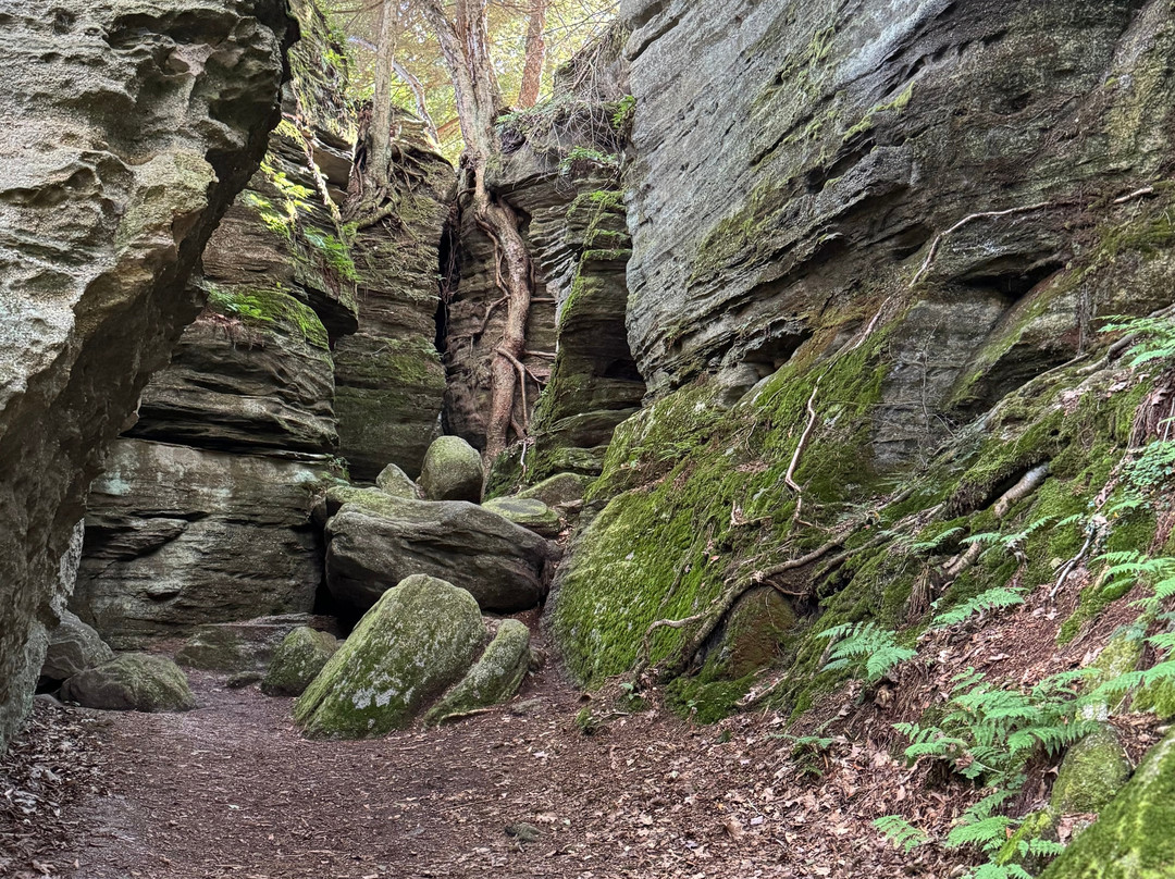 Panama Rocks Scenic Park-Panama必去景点