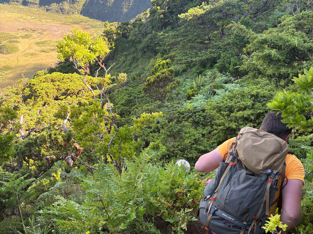 Endemic Azores-奥尔塔必去景点