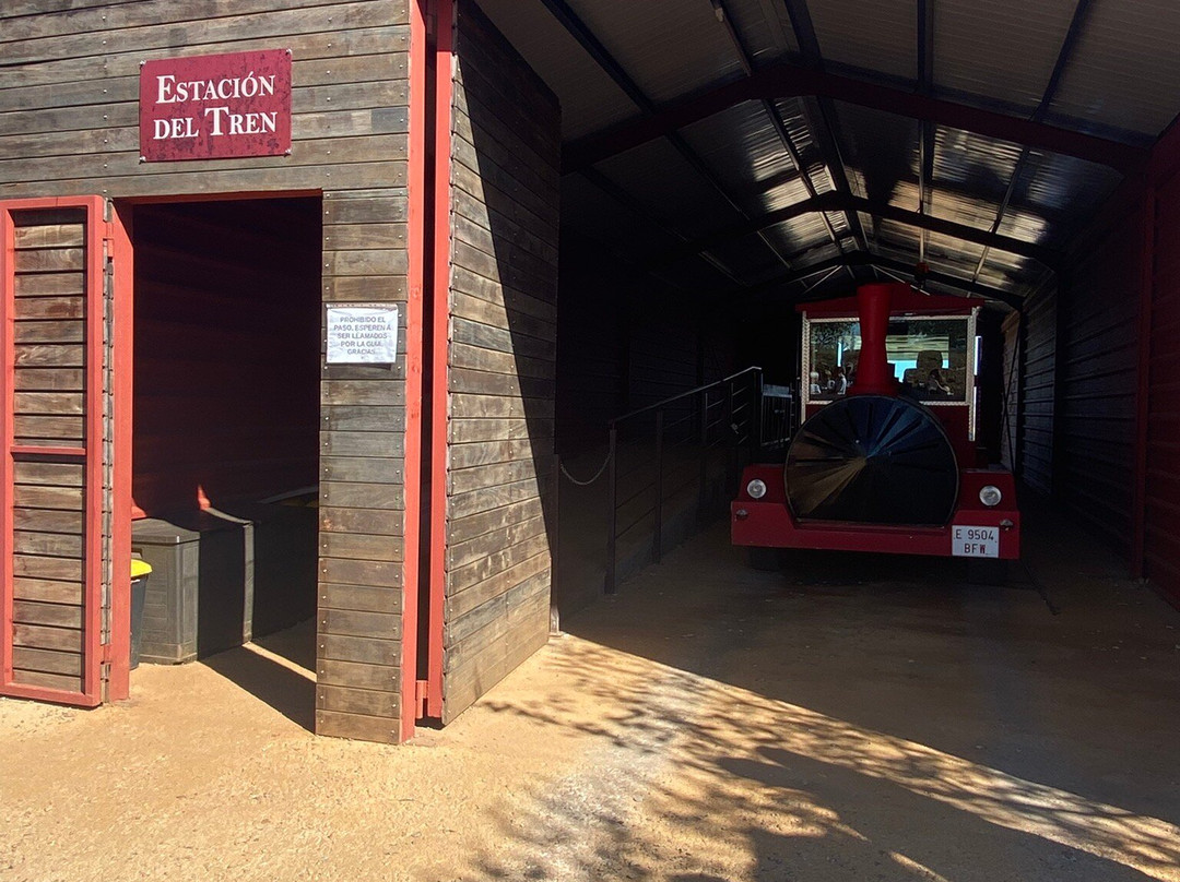 Parc Miner del Maestrat-Culla必去景点