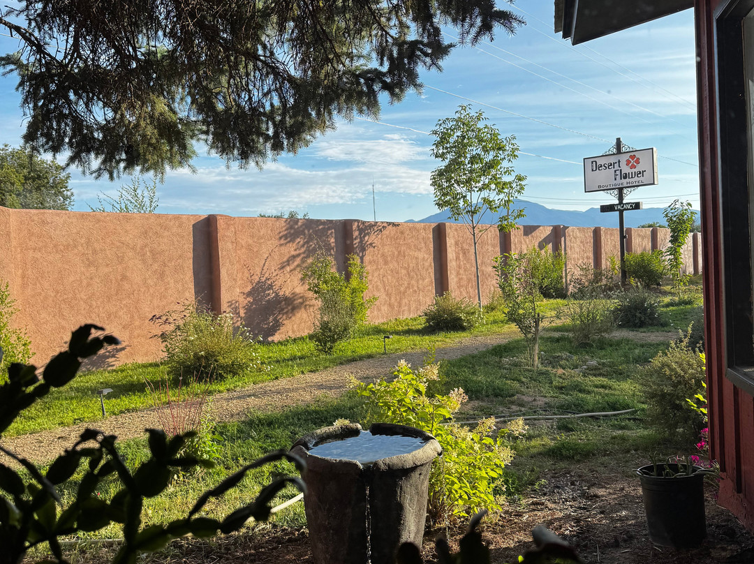 Desert Flower Boutique Hotel主图