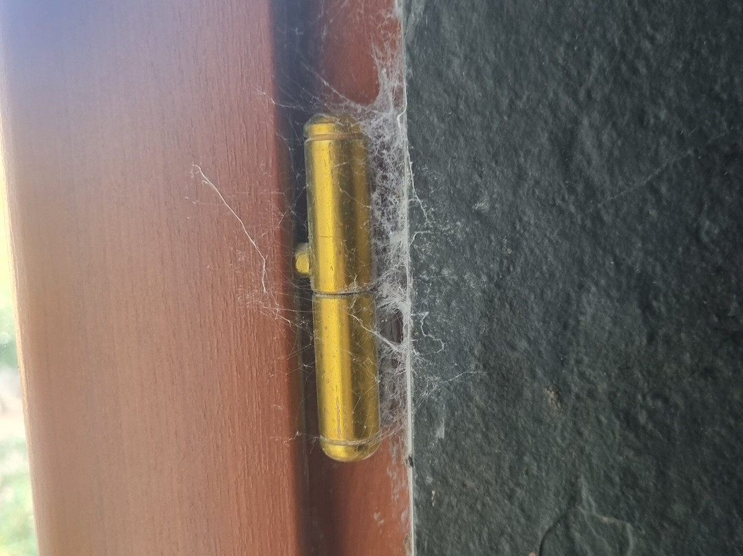 贝吉斯皮斯亚酒店主图