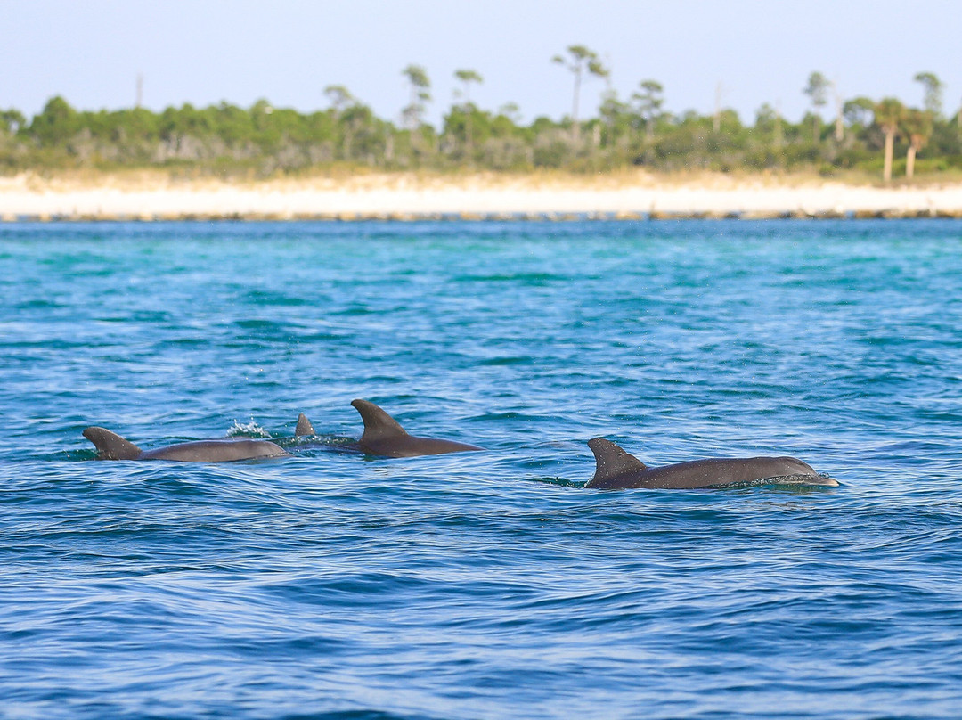 Paradise Adventures Catamarans and Watersports-巴拿马城海滩必去景点