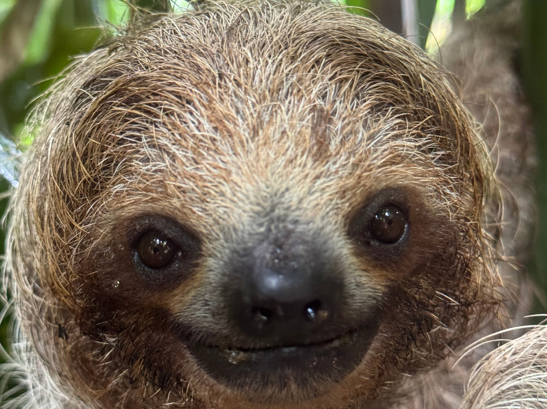 Costa Rica Xploring Tours-Gulf of Papagayo必去景点